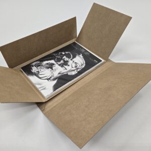 Cardboard comic book mailer with insert
